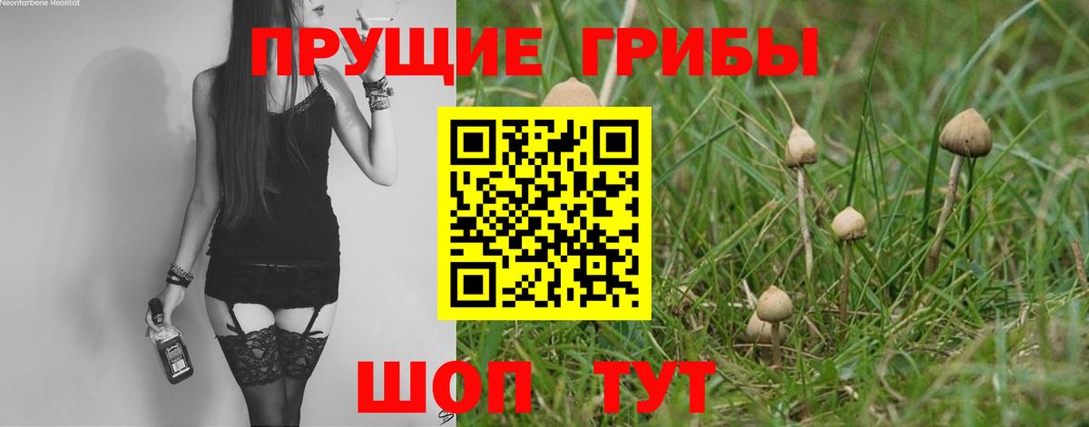 Галлюциногенные грибы мухоморы  Галлюциногенные грибы Psilocybe  Вход с VPN  Екатеринбург 